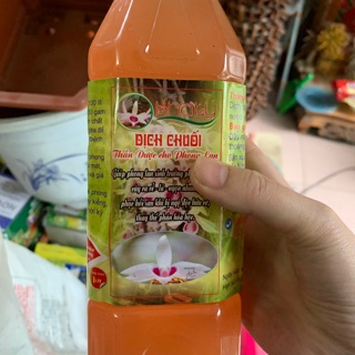 Thần dược dịch chuối chính hãng nguyễn quốc tư cho hoa lan và cây cảnh