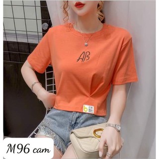Áo Thun Lửng Nữ  Bo Eo 4 màu Trẻ Trung Năng Động chất thun cotton không xù lông DOGA 96