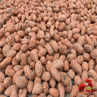 Củ Nghệ Đỏ Cho Gà Đá Cao Cấp [Nguyên Chất 100%] - 500gram