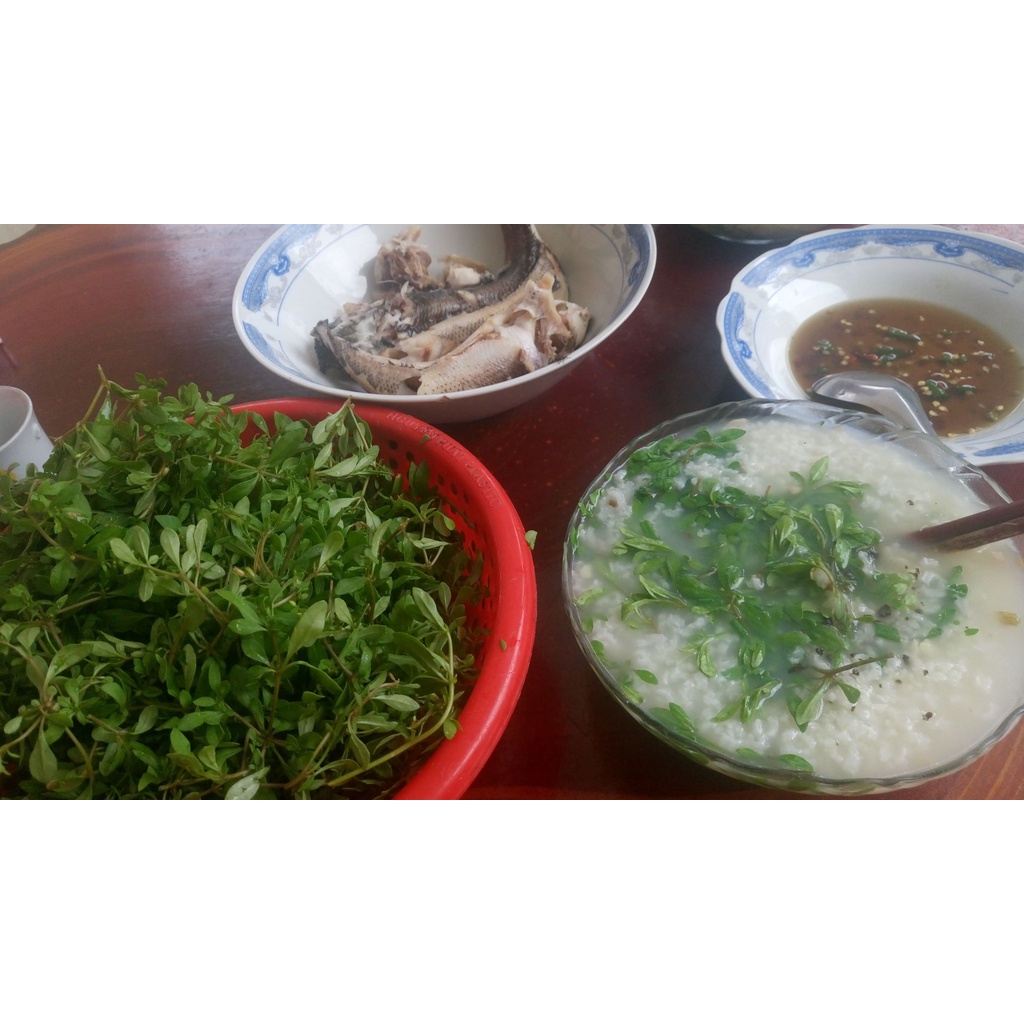 Hạt giống rau đắng đất