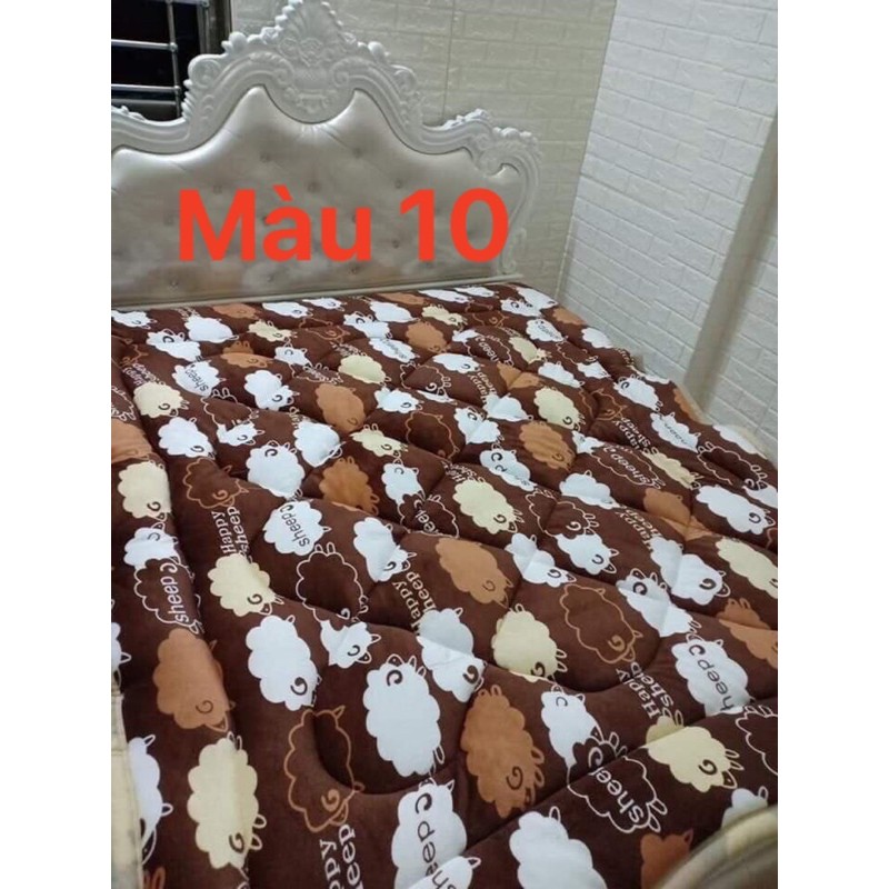 [GIÁ HỦY DIỆT] CHĂN LÔNG CỪU GIÁ CHỈ 189k | BigBuy360 - bigbuy360.vn