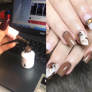 Sơn thạch nâu tây bobo hót hít