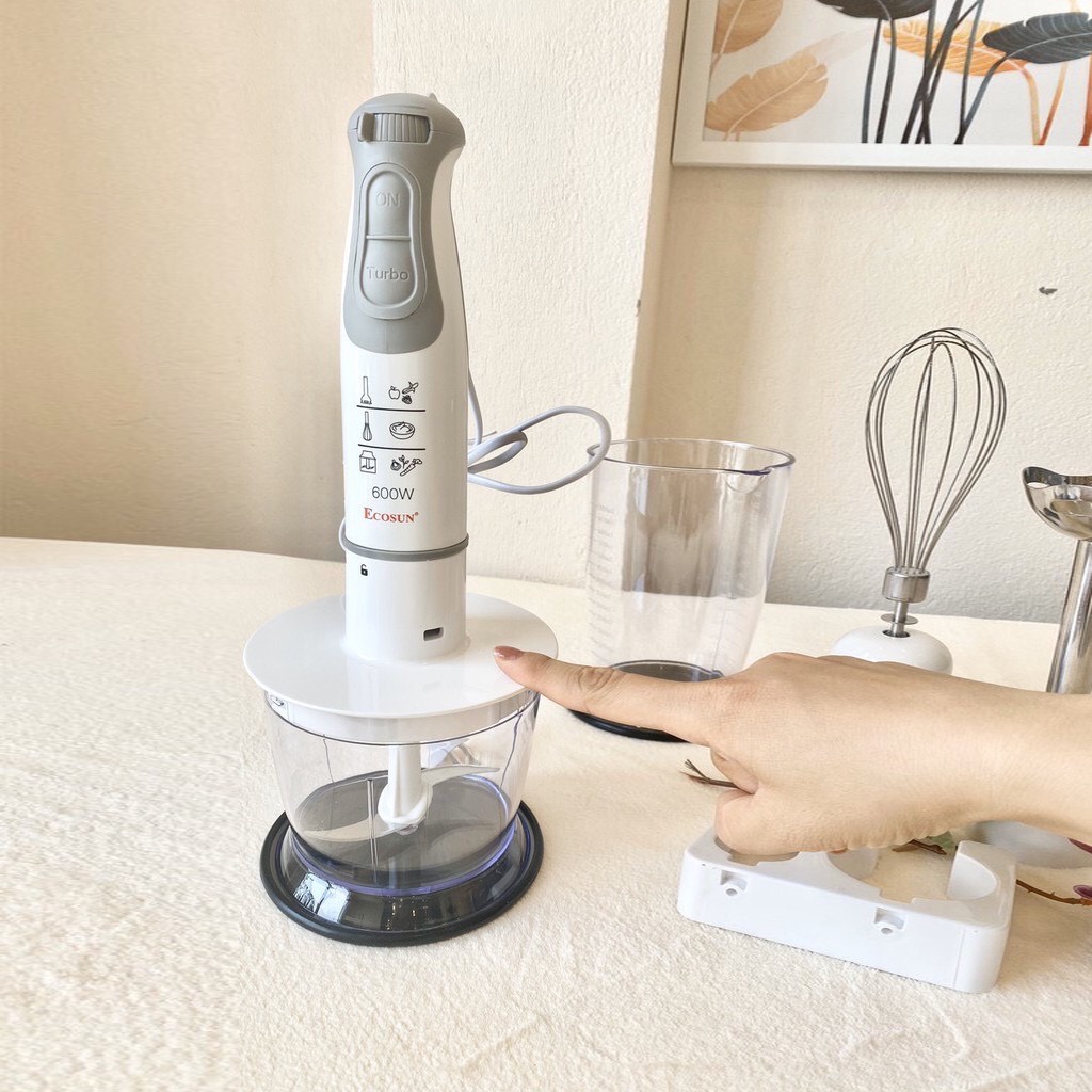Bộ máy xay thịt , sinh tố , trộn bột đa năng cầm tay 5 món ECOSUN HB1920 bảo hành 12 tháng