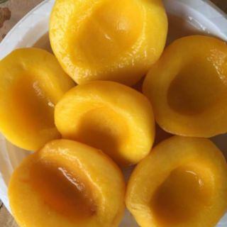 Đào miếng núi vàng
