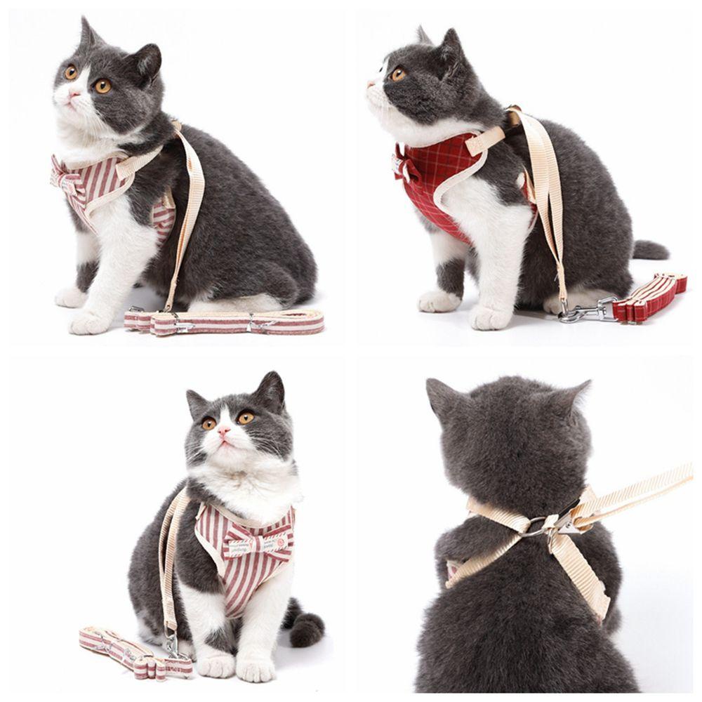 Áo Sát Nách Kèm Dây Dắt Thú Cưng Đi Dạo Mềm Mại Dễ Thương AUGUSTINA