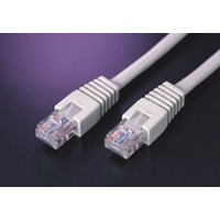 Đầu mạng RJ45 Loại Thường AMPLX (1 Hộp 100 đầu mạng)