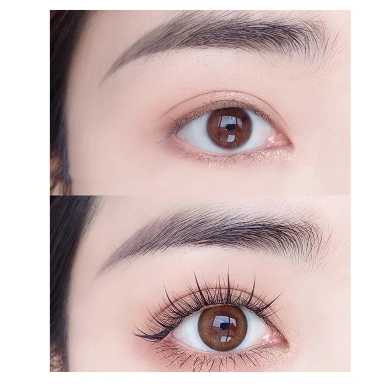 [JUNG] Hộp lông mi giả tự nhiên hỗn hợp A6