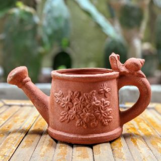 Chậu đất nung trồng cây