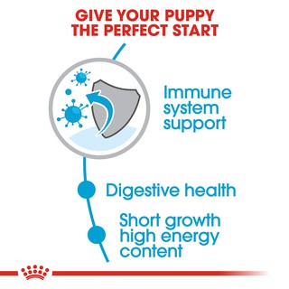 Thức ăn cho chó con Royal Canin Medium Junior/Puppy