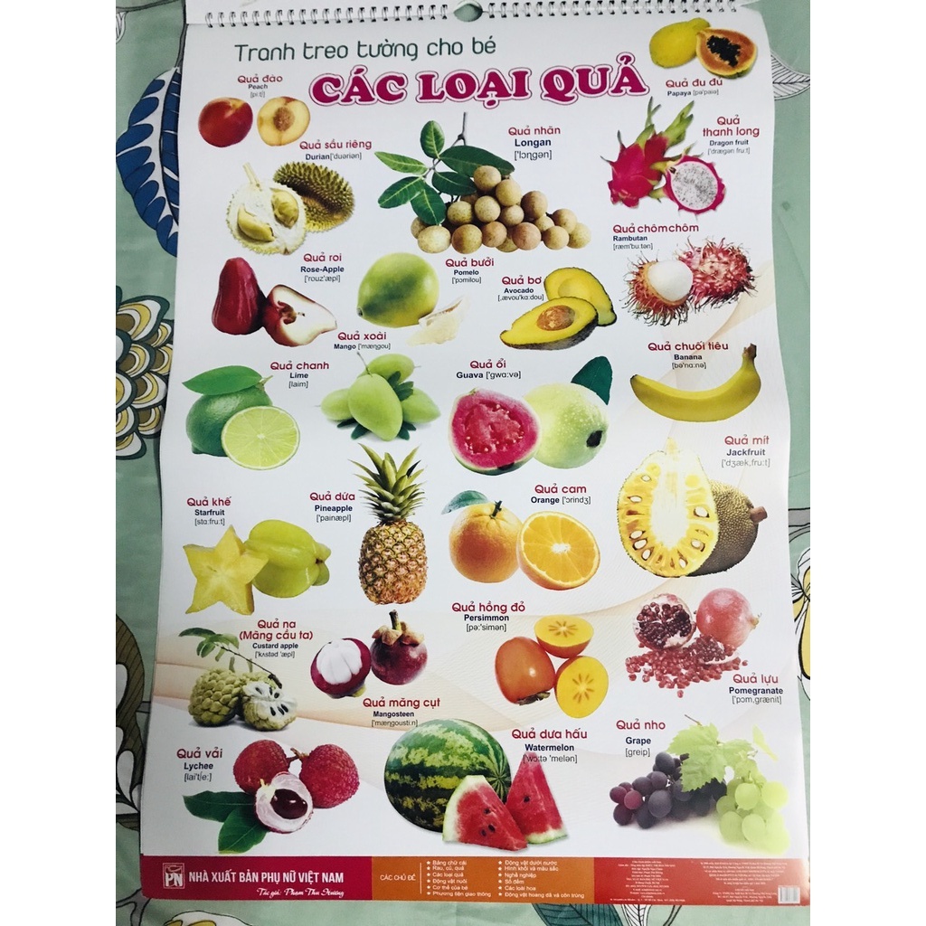 BỘ TRANH TREO TƯỜNG VỀ THẾ GIỚI XUNG QUANH 14 CHỦ ĐỀ IN 2 MẶT