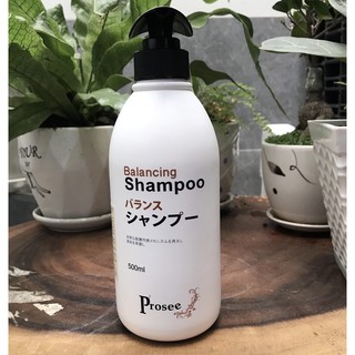 🌾Best Seller🎋 Dầu gội dành cho tóc gàu chống dầu, chống rụng tóc Prosee Balancing Shampoo AS13 500ml