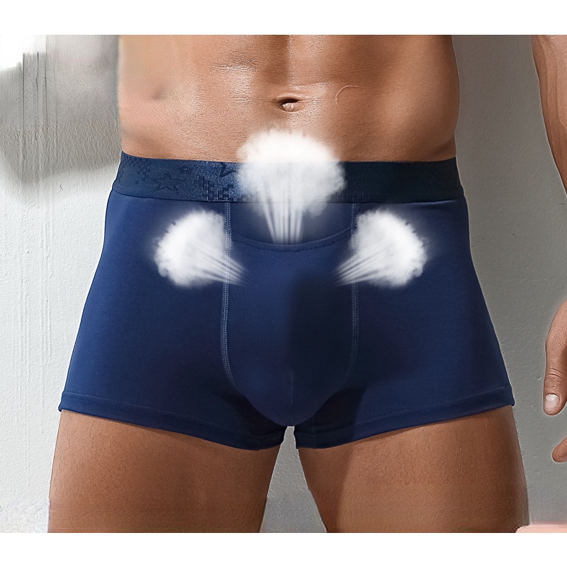 Quần Lót Boxer Màu Sắc Trơn Thoáng Khí Lưng Vừa Quyến Rũ Cho Nam Mã 252