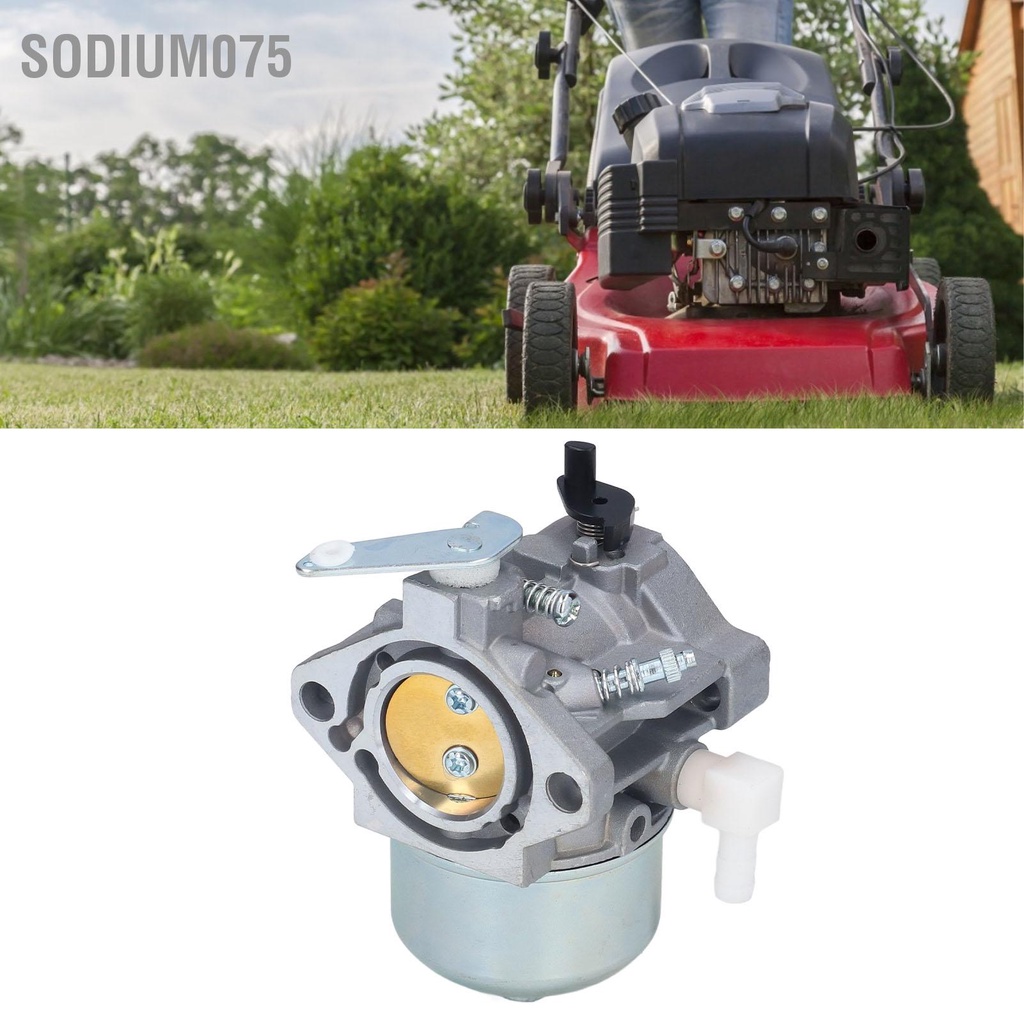 Sodium075 Bộ chế hòa khí Thay thế cho Động cơ 690119 Máy cắt cỏ 694526 192437 192452