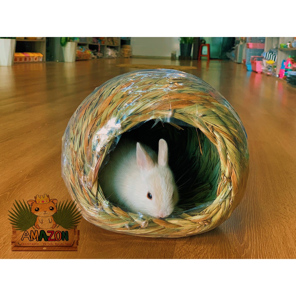 Nhà ngủ timothy dành cho thỏ ,bọ ,hamster