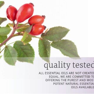 Dầu Rose Hip Seed Oil