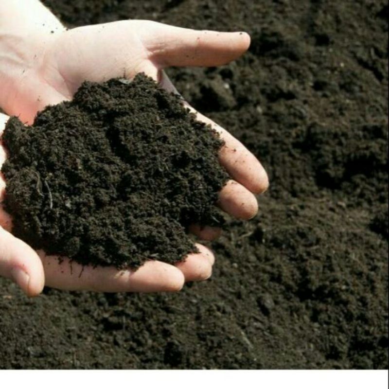 1kg đất dinh dưỡng trồng cây trồng rau