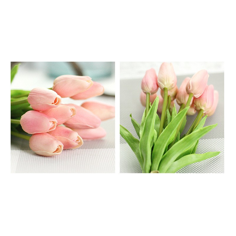 Hoa cao su - hoa tulip