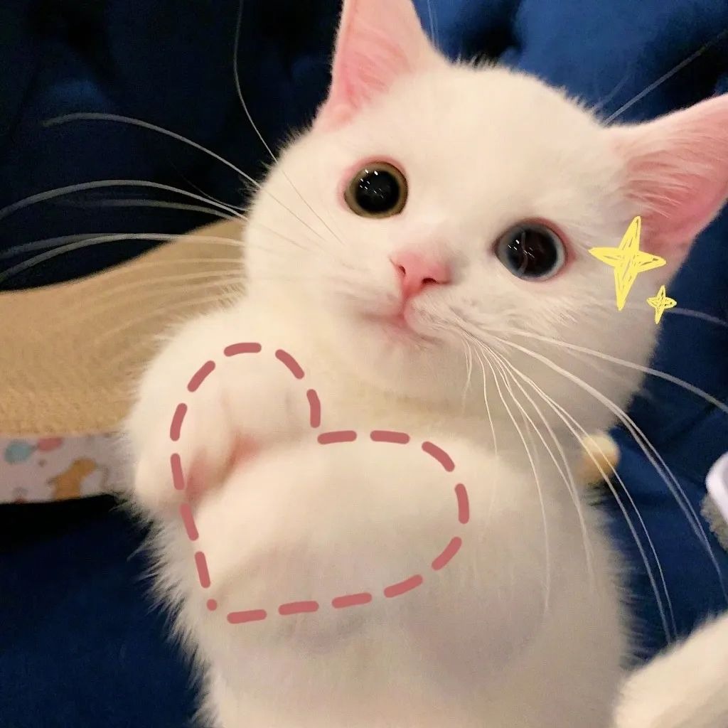 hgfbj.vn