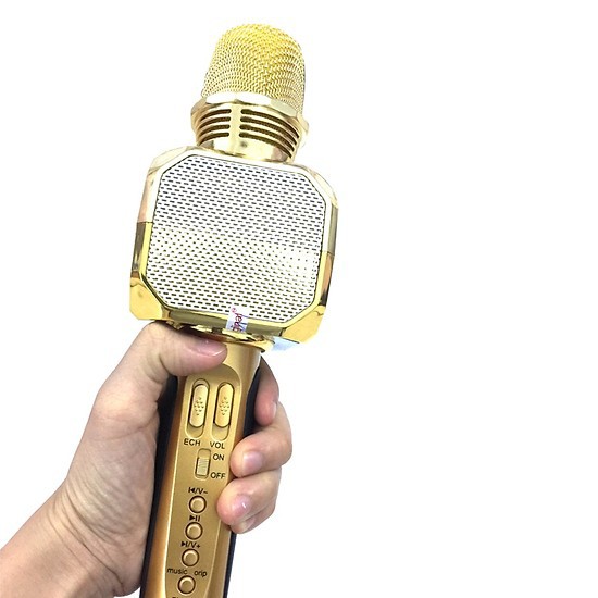 Micro Karaoke Kèm Loa Bluetooth SD10 Sotate - Hàng Nhập Khẩu