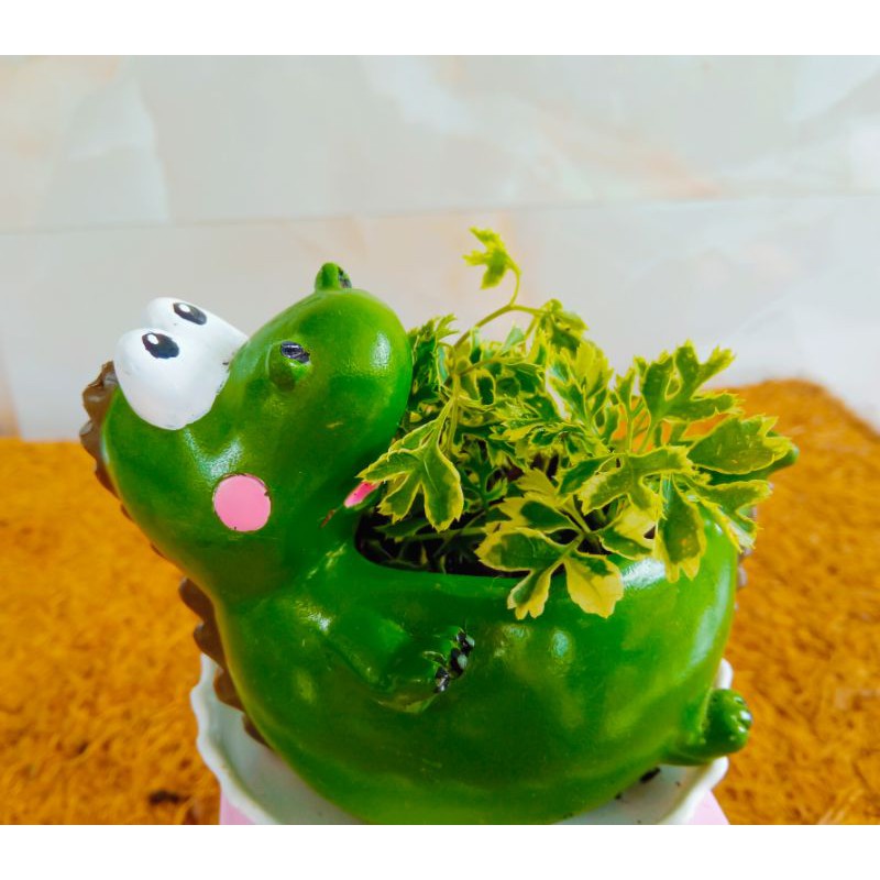 Chậu Thú Composite Đã Mix Cây