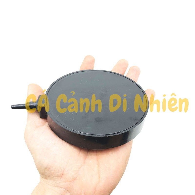 Sủi đĩa OXY ĐÀI LOAN siêu mịn đường kính 10 cm cho hồ cá cảnh