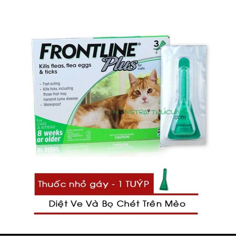 Nhỏ gáy Frontline Cat - loại bỏ rận, bọ chét trên mèo hiệu quả