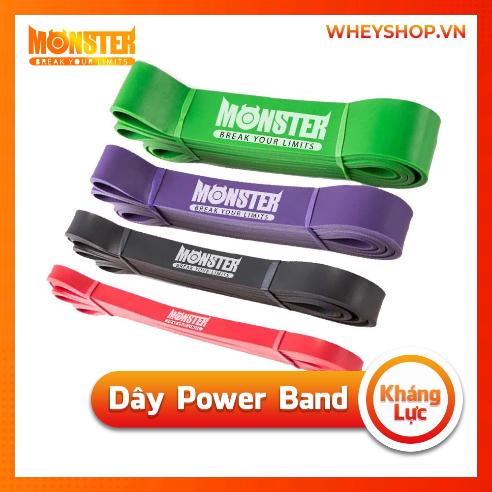 [Giá Rẻ] Dây Kháng Lực Tập Gym Power Band Monster 15 - 125lbs