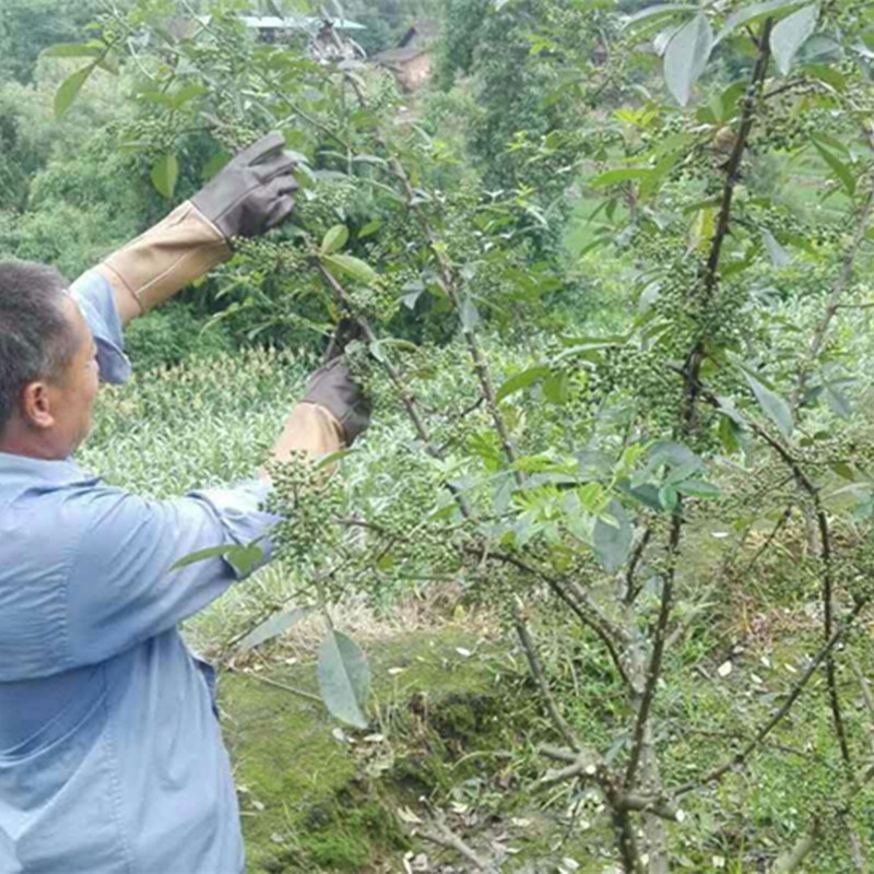 Sự Bảo Vệ Găng Tay Làm Vườn Bằng Da Bò Chống Va Chạm Chuyên Nghiệp