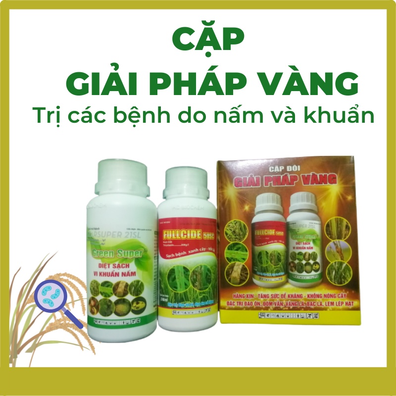 Cặp đôi GIẢI PHÁP VÀNG quản lý các bệnh do nấm, vi khuẩn trên cây trồng: cháy bìa lá, lép vàng, ghẻ nhám, thán thư,...