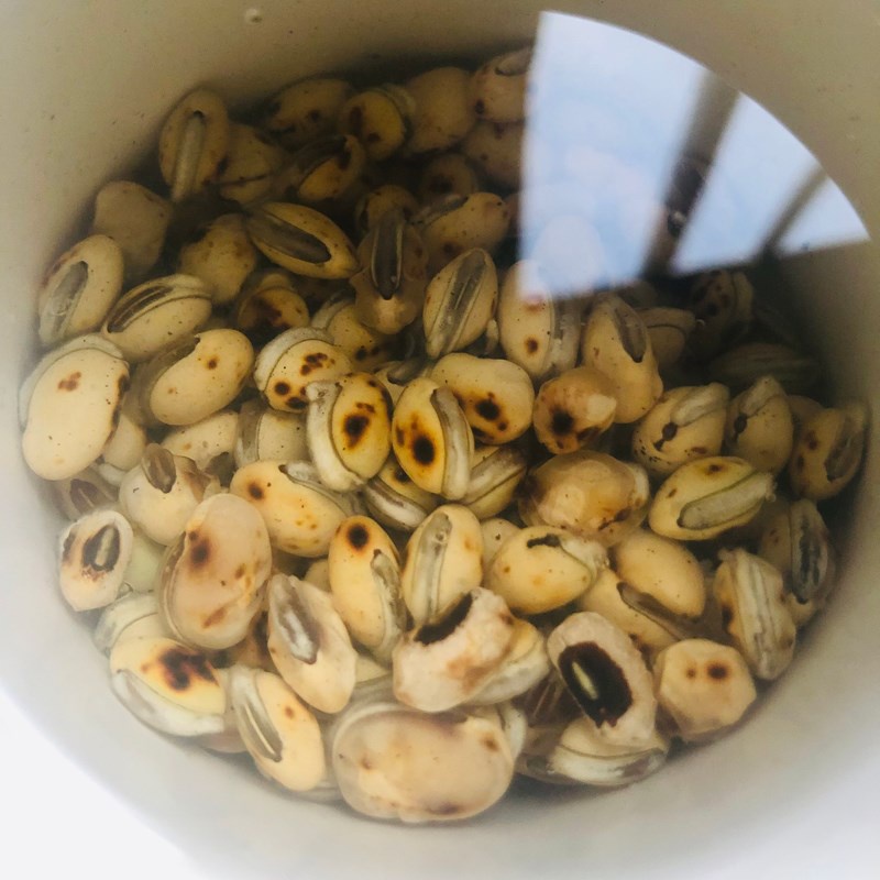 Trà đậu ván hữu cơ thơm mát chất lượng 1kg