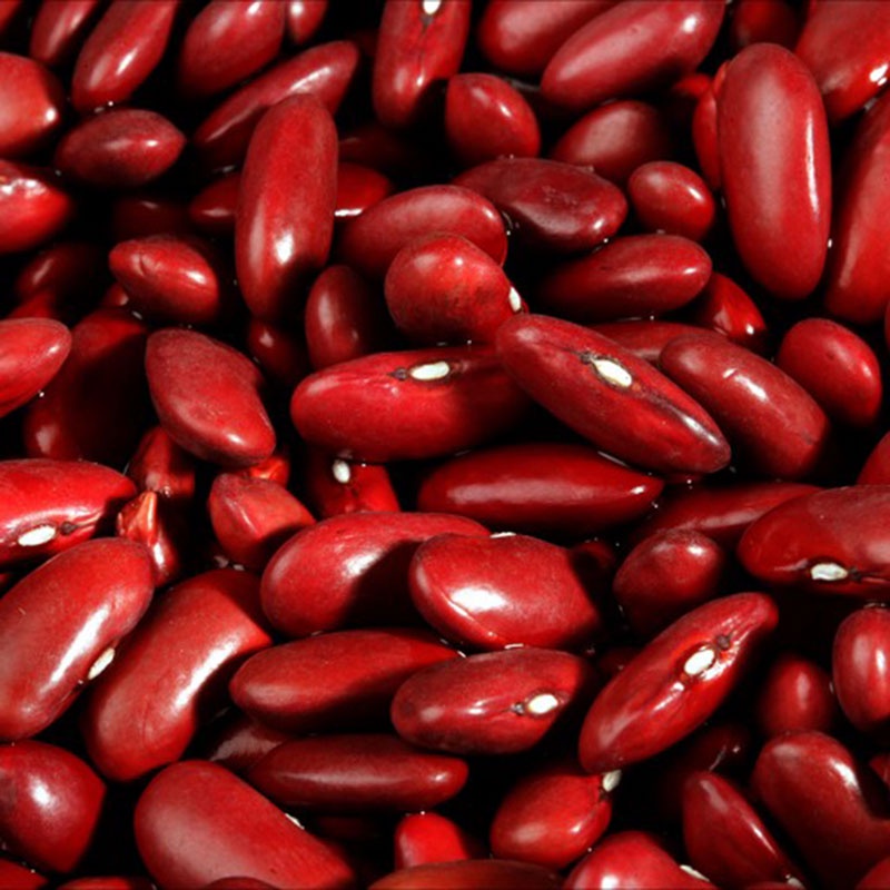 500gr Hạt Đậu đỏ hữu cơ loại to - Đậu đỏ tây/ đậu Cove