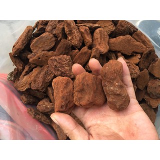 Vỏ thông hàng nhập khẩu Size 4-6cm (1kg)