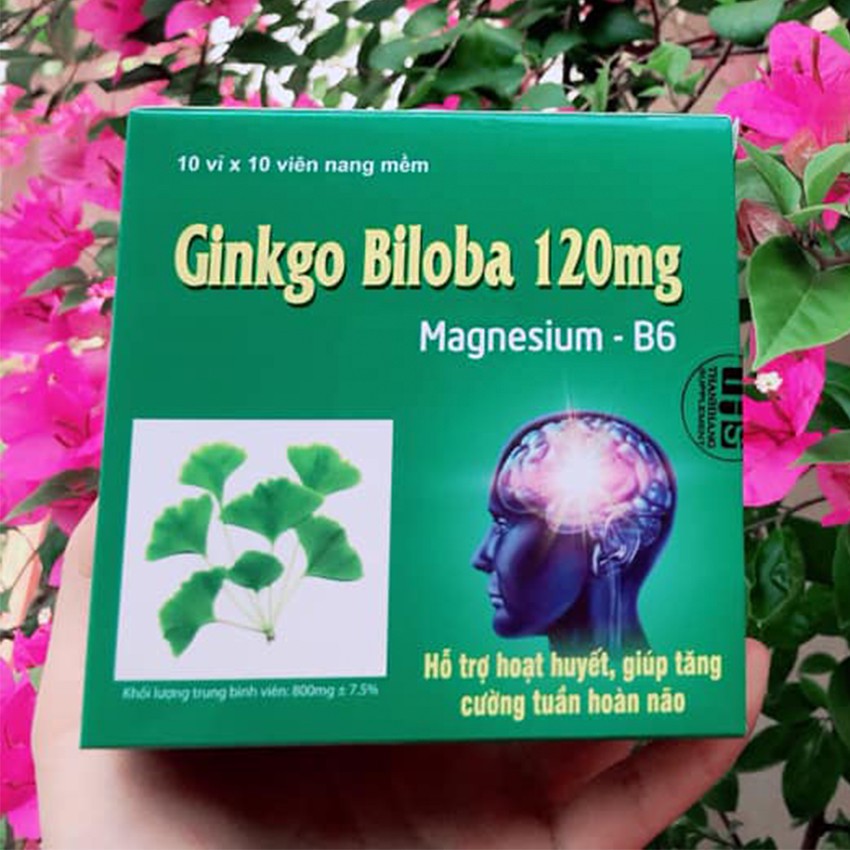 Viên Uống Ginkgo Biloba 120mg Magne B6 (Hộp 100 viên) - hỗ trợ tuần hoàn não - cvspharmacy