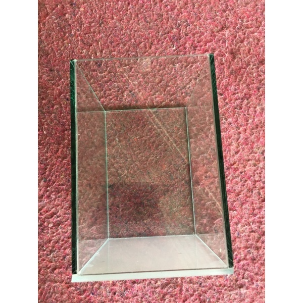Hồ cá betta,lia thia,guppy