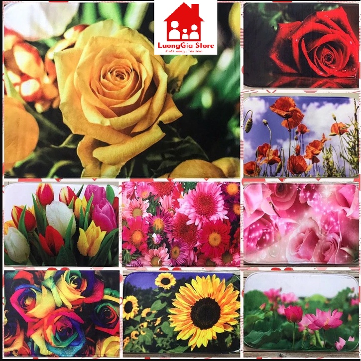 Thảm Lau Chân Thấm Hút Tốt 60x40 cm Hoạ Tiết 3D Siêu Bền Nhiều Mẫu