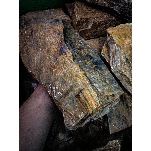 Đá Trầm Tích Vàng Vân Gỗ | Trang Trí Setup Bể Thủy Sinh, Biotope, ....| Mua Nhiều Giảm Giá