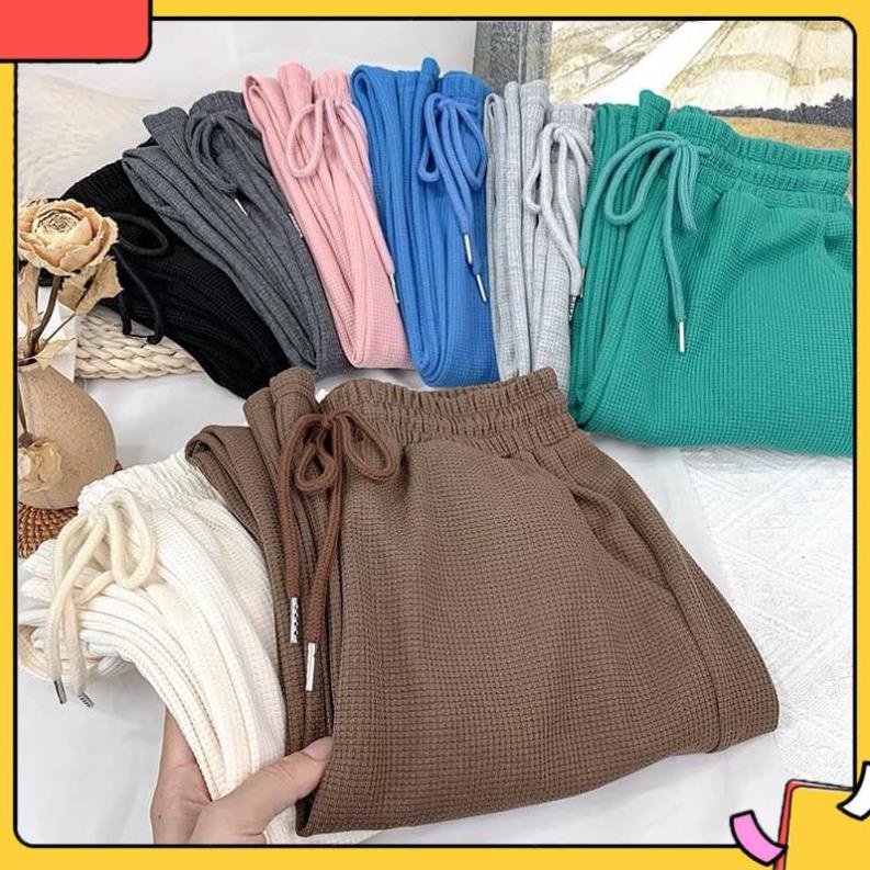 Quần ống rộng suông nữ  nỉ tổ ong cạp chun có dây rút phong cách Hàn Quốc