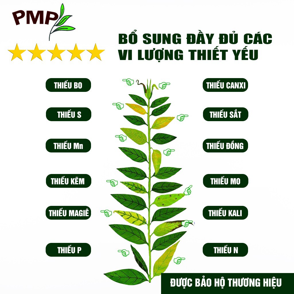 Vi Lượng Hữu Cơ - Bổ Sung Vi Lượng Cho Hoa Hồng, Rau Sạch, Cây Cảnh, Bon Sai