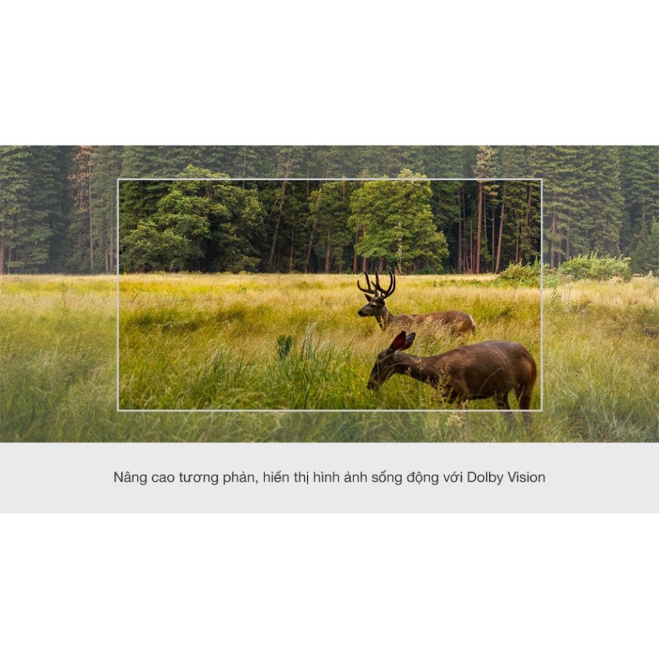 __zil__ (mới) Tivi OLED Sony 4K 65 inch XR-65A80J _Giao nhanh , lắp đặt miễn phí đầy đủ toàn quốc chất lượng hàng đầu