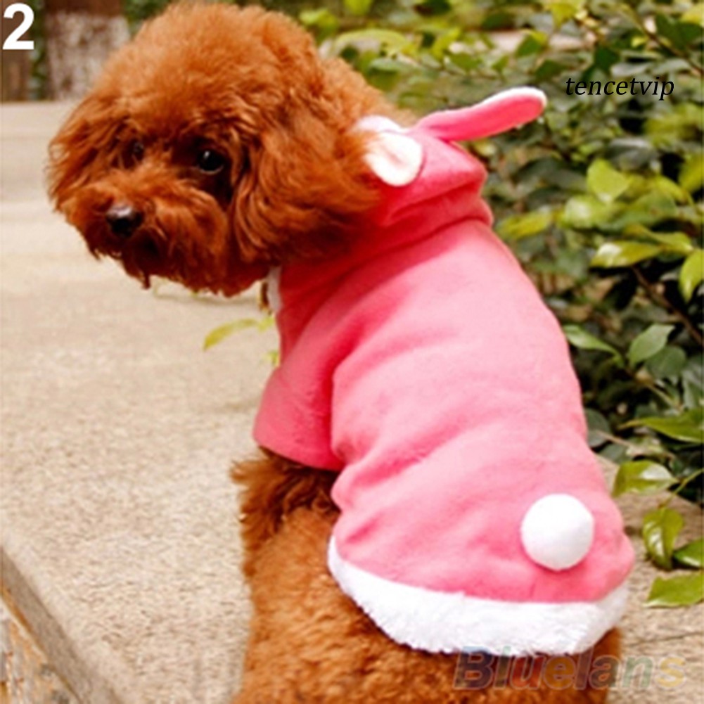 Áo hoodie hình thỏ xinh xắn thời trang dành cho thú cưng