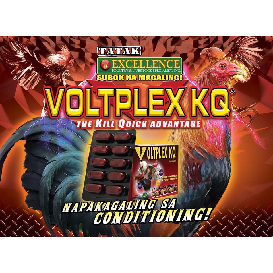 Voltplex KQ ốp 3 ngày cuối dành cho gà đá, loại 1 vỉ.