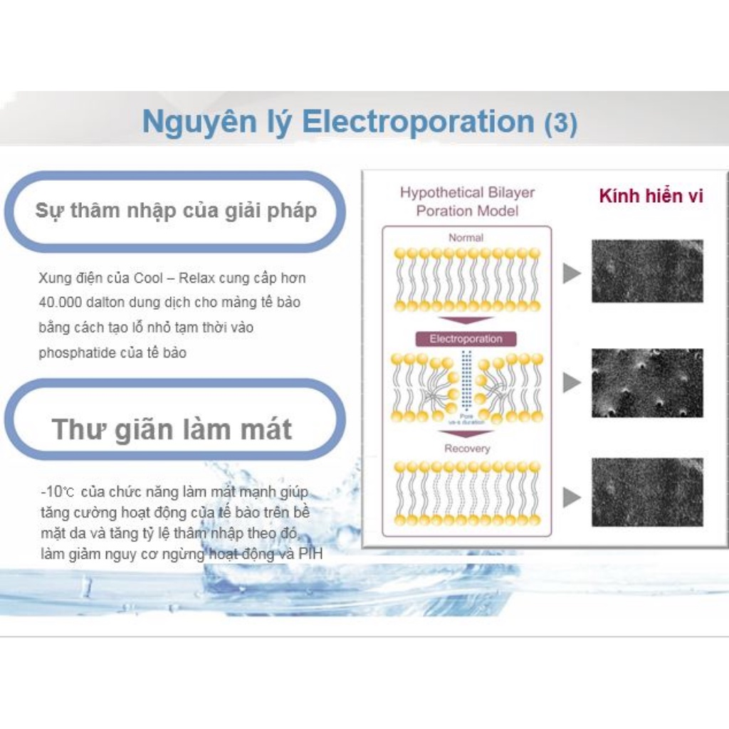Máy điện di nóng lạnh D COOL