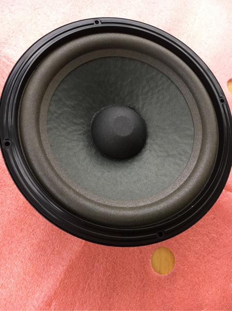 [Mã ELHACE giảm 4% đơn 300K] Loa Bass 20 Bosee 301 Seri 3.Giá 1 Chiếc.