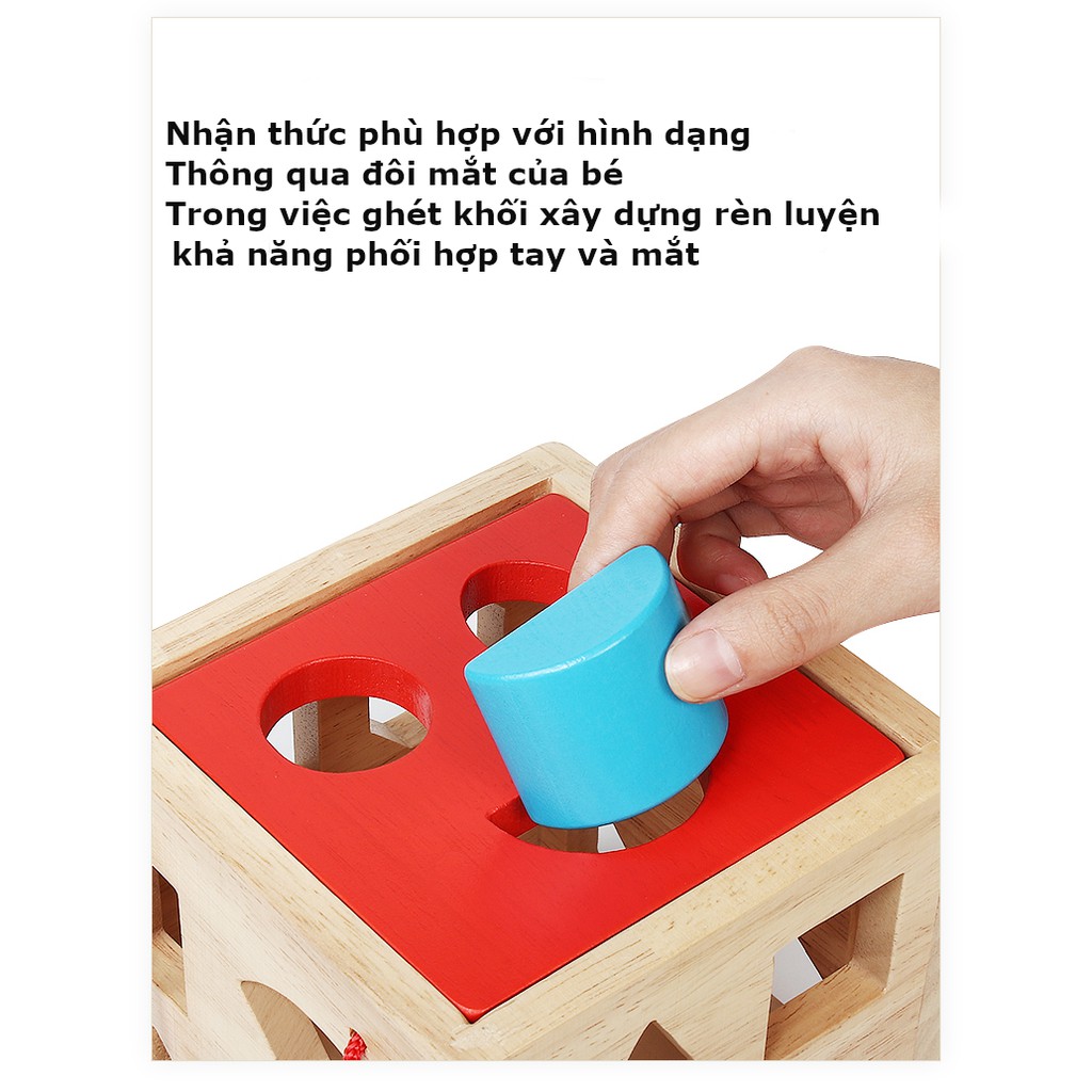 Đồ chơi xe thả hình bằng gỗ trẻ em,đồ chơi giáo dục sớm cho bé 1-3 tuổi
