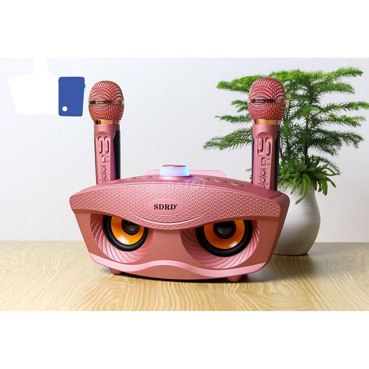 Loa Bluetooth Karaoke SD-306 Plus Loại 1 tặng kèm 2 micro hát Karaoke không dây.Bass đập siêu hay.Âm Trầm
