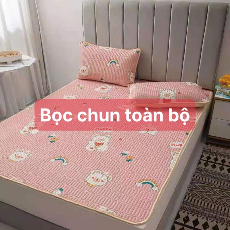 Xả kho chiếu điều hoà cao su non bọc chun có đủ size