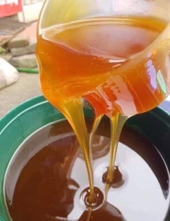 [Chính Gốc Trại Ong] Mật ong hoa cà phê Daklak