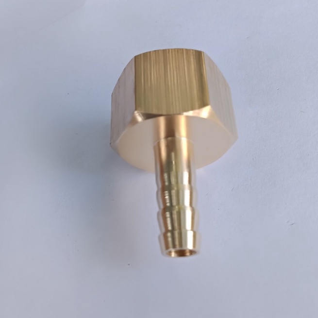 Nối ren trong 21mm đuôi chuột 8mm, 10mm...