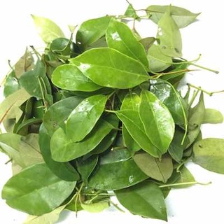 Gói 10 hạt giống lá giang