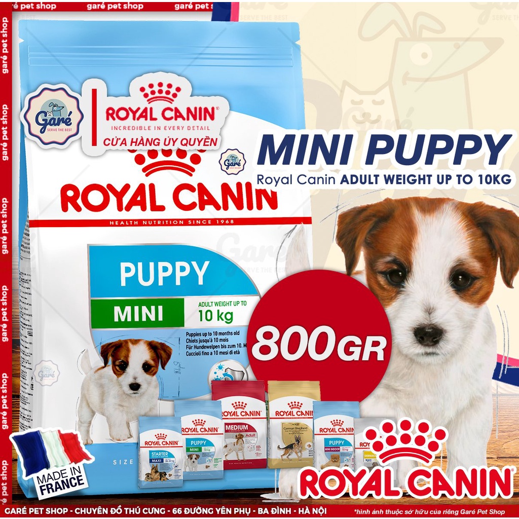 2kg - Hạt Mini Puppy Royal Canin dành cho Chó con từ 2 tới 10 tháng tuổi giống nhỏ (dưới 10kg) Garé Pet Shop